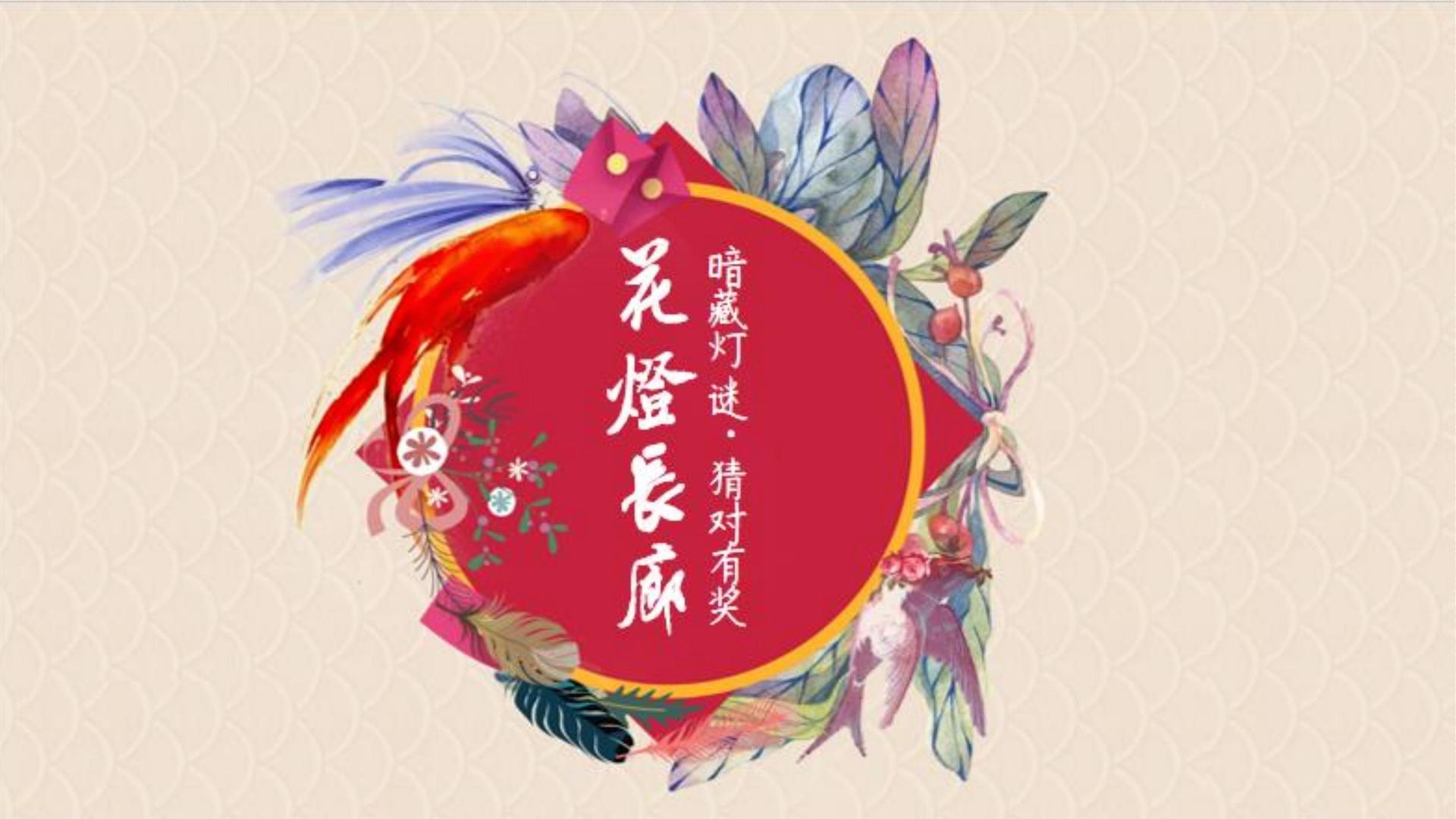 街舞展演计划